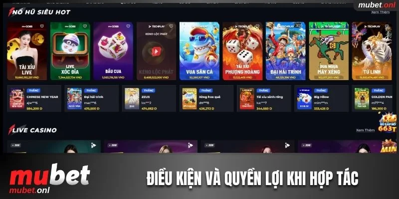5 điều kiện và 6 quyền lợi khi hợp tác với đơn vị 